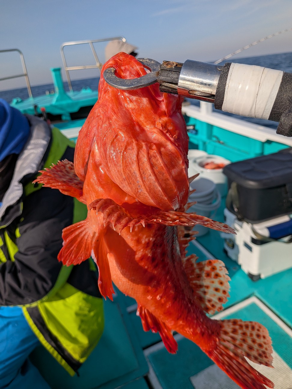 f:id:yuumaru0411:20260206110522j:image