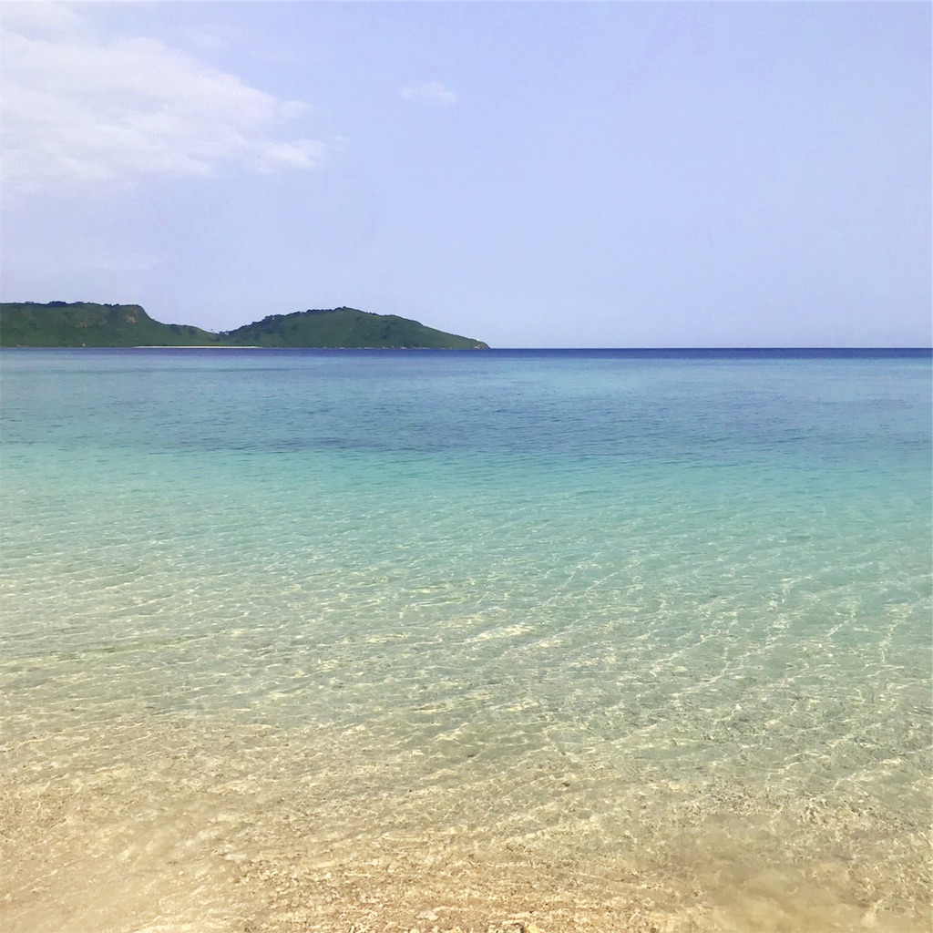 f:id:yuumiri:20190409142048j:image f:id:yuumiri:20190409142048j:image