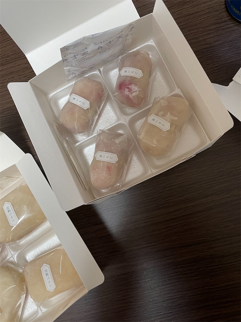 f:id:yuunatusan:20211020230723j:plain