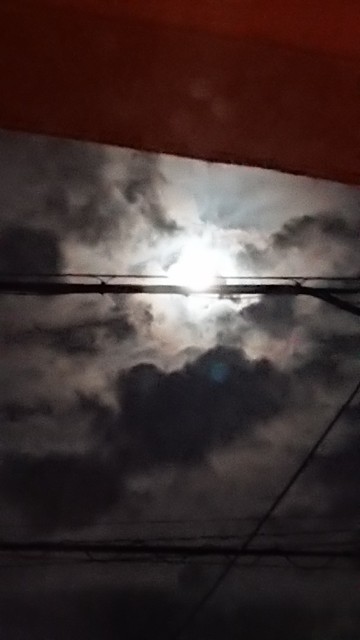 f:id:yuupytan:20200704230916j:image f:id:yuupytan:20200704230916j:image