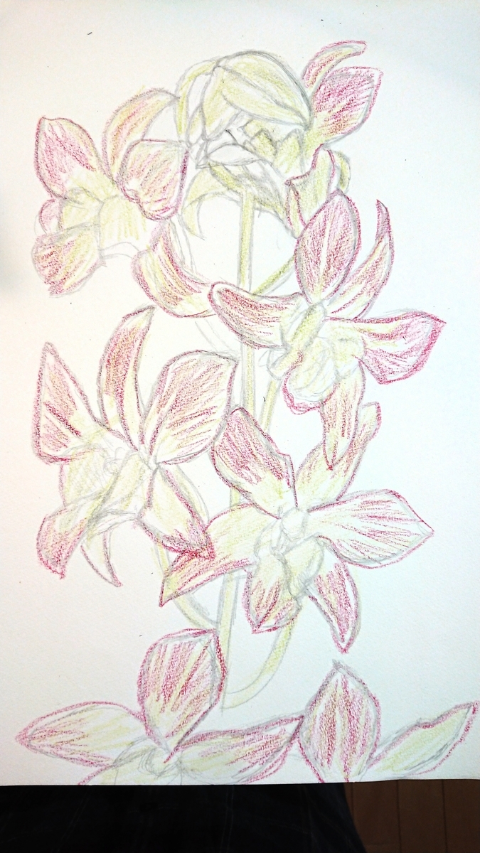 f:id:yuupytan:20201211151826j:plain