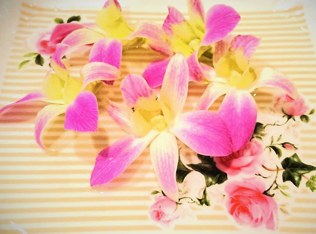 f:id:yuupytan:20201211152611j:plain