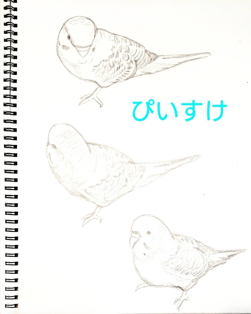 f:id:yuupytan:20201219131059j:plain