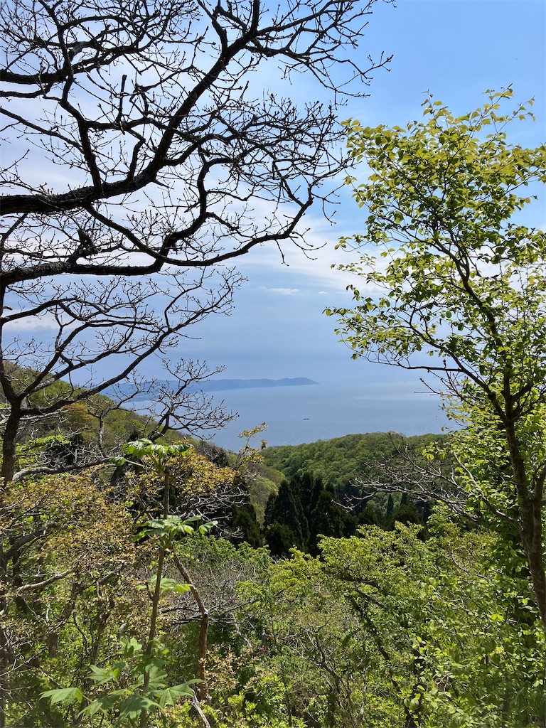 f:id:yuuri252:20260804165135j:image f:id:yuuri252:20260804165135j:image