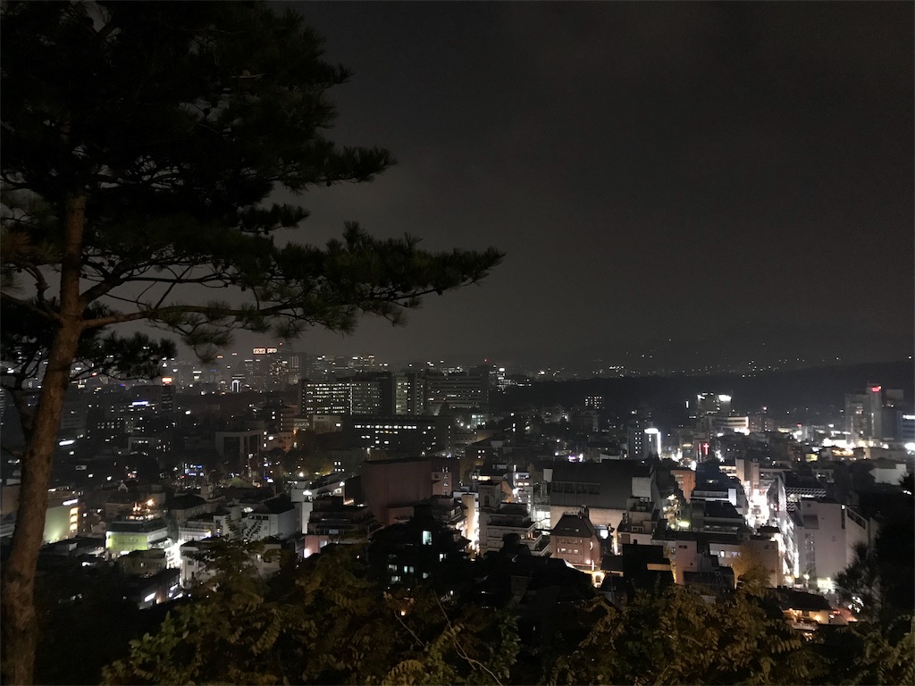 夜景を見に낙산공원 ナクサン公園 ユーリの韓国留学記録だよ