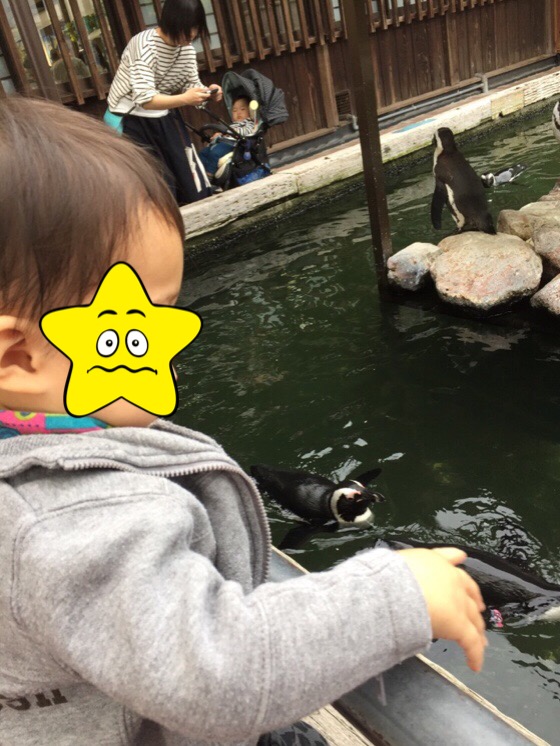 f:id:yuurincheee1117:20171217221826j:plain f:id:yuurincheee1117:20171217221826j:plain