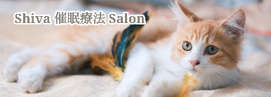 Shiva催眠療法Salon