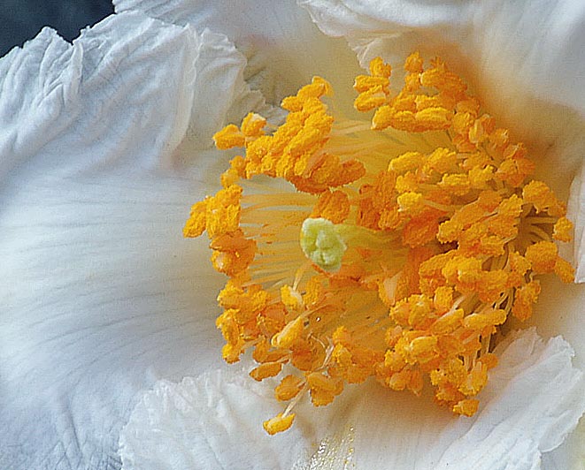 f:id:yuusuget:20190114015459j:plain