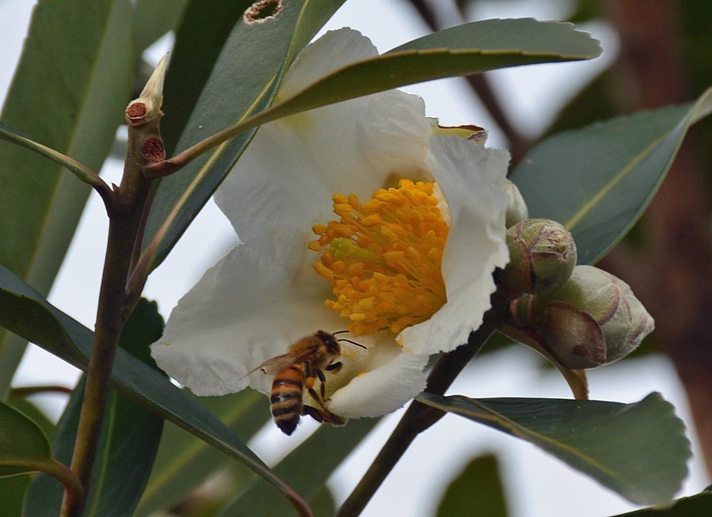 f:id:yuusuget:20190114020509j:plain