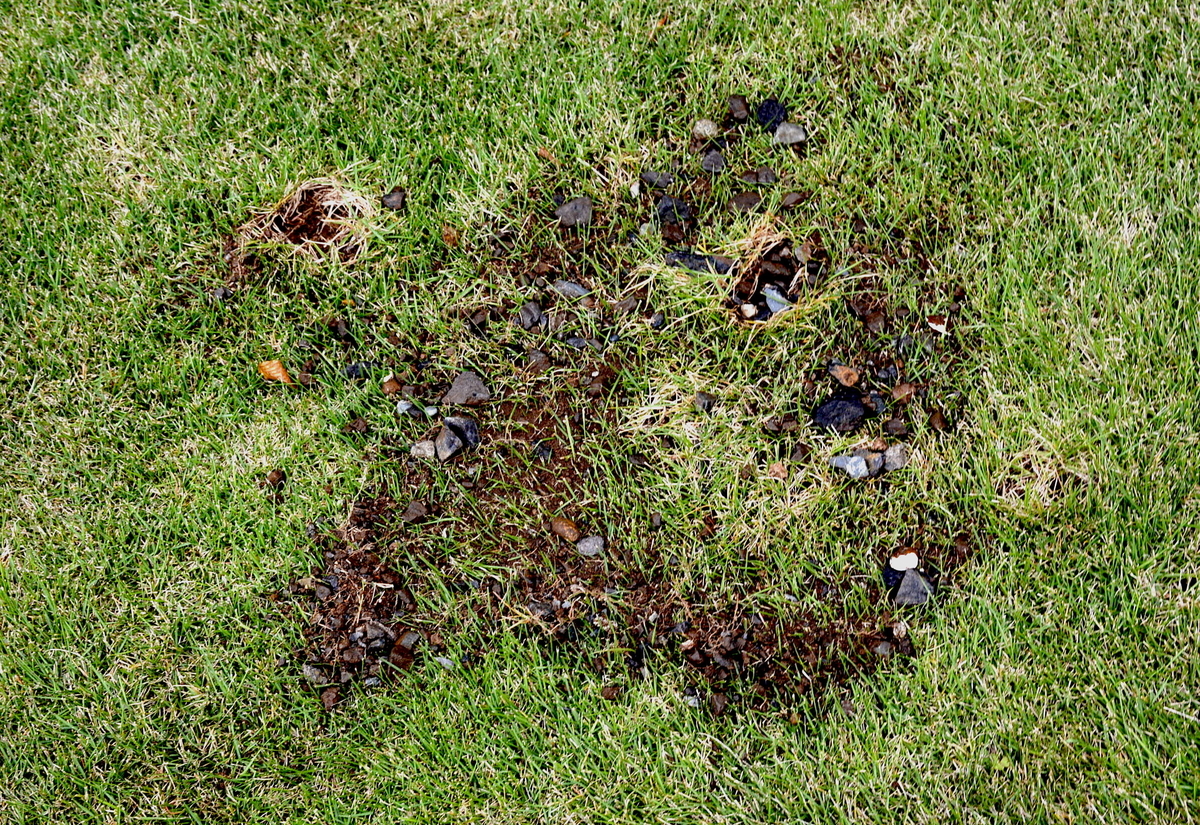 f:id:yuusuget:20201116012853j:plain