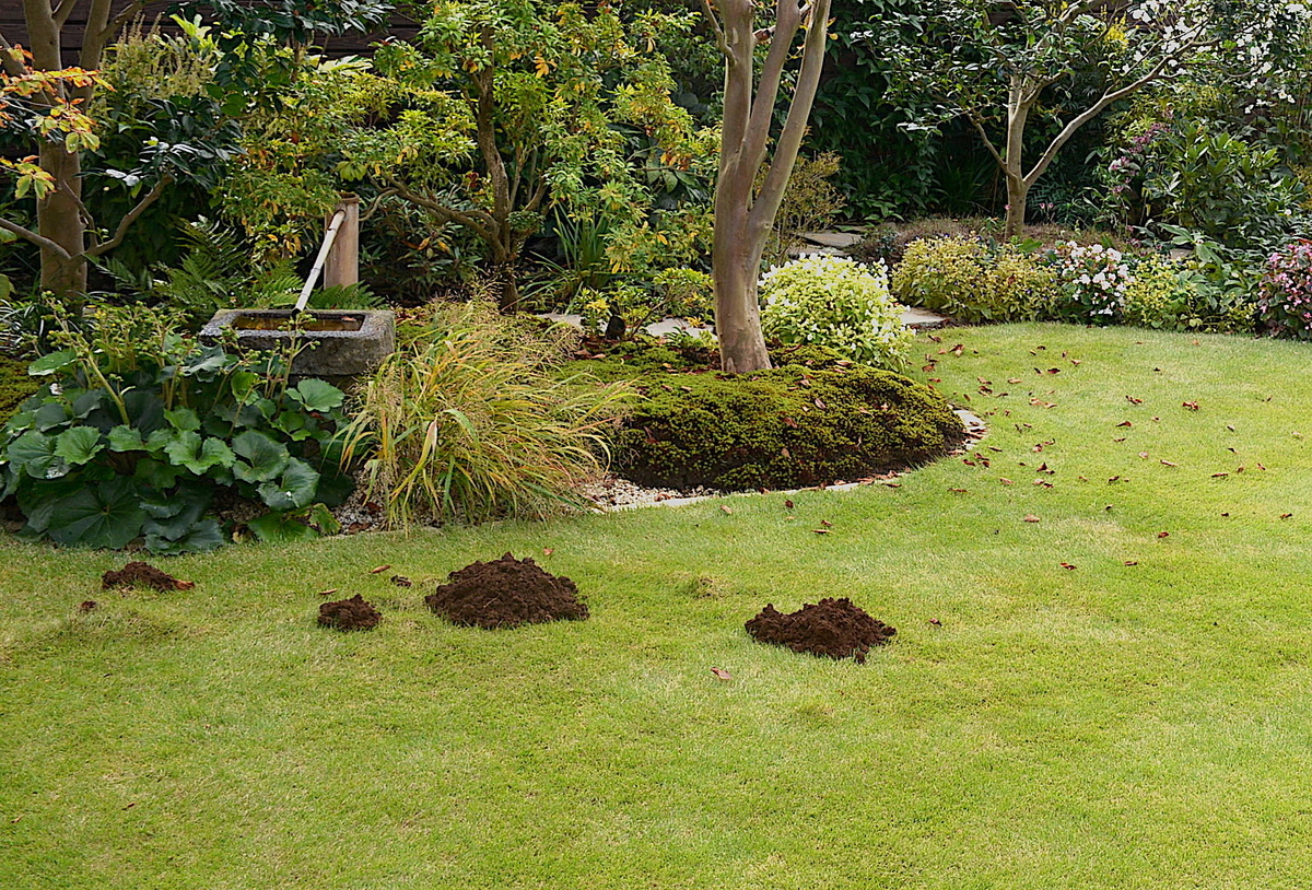 f:id:yuusuget:20201116014124j:plain