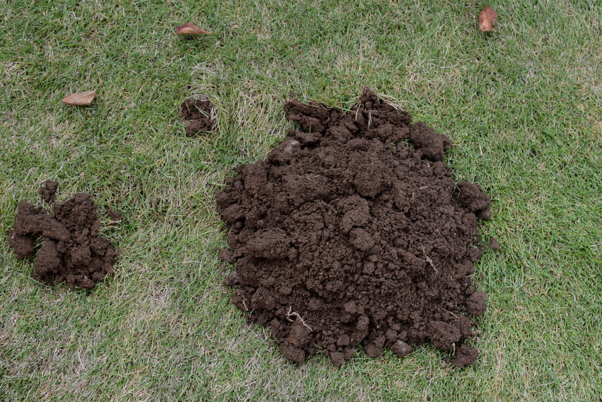 f:id:yuusuget:20201116014838j:plain