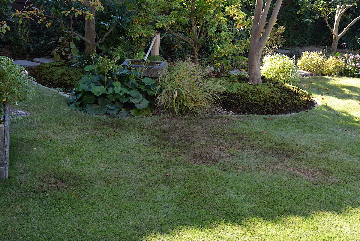 f:id:yuusuget:20201116021144j:plain