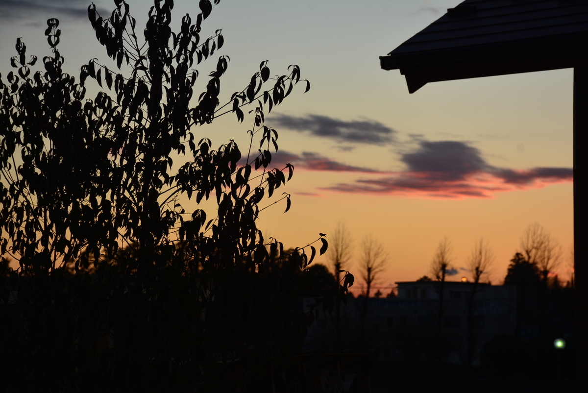 f:id:yuusuget:20210106000215j:plain