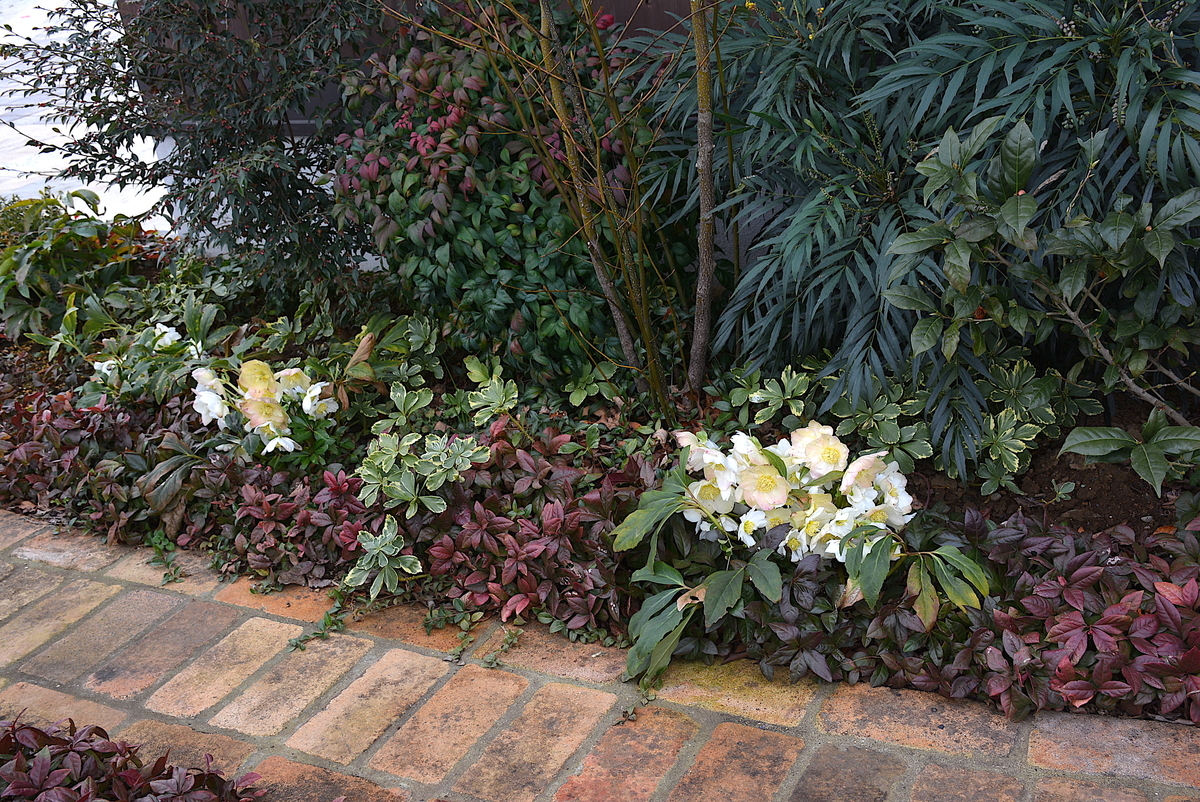 f:id:yuusuget:20210106225529j:plain