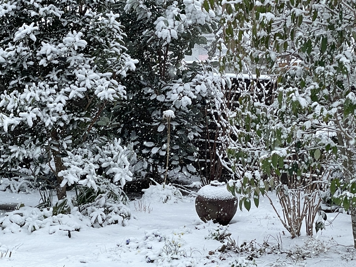 f:id:yuusuget:20220107002904j:plain