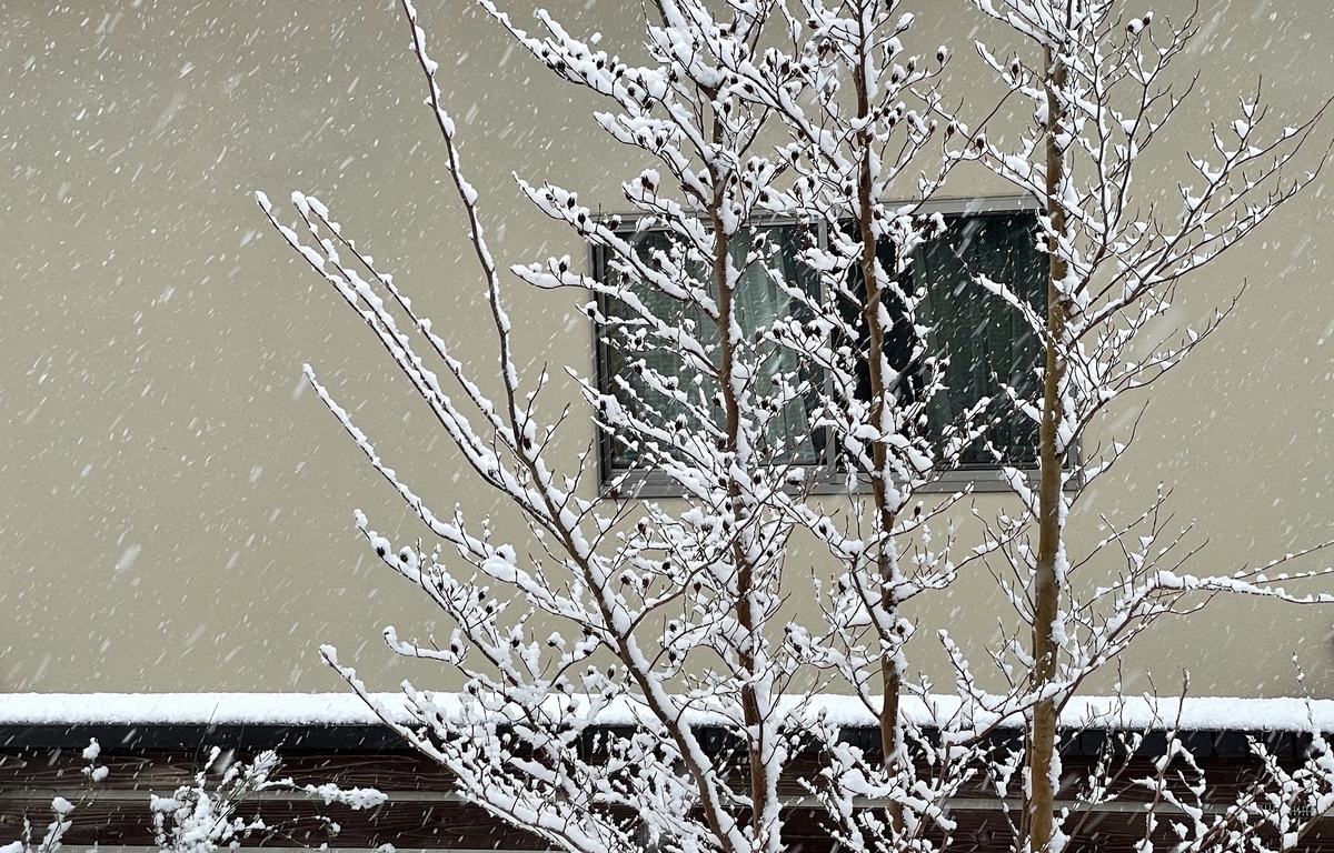 f:id:yuusuget:20220107003313j:plain