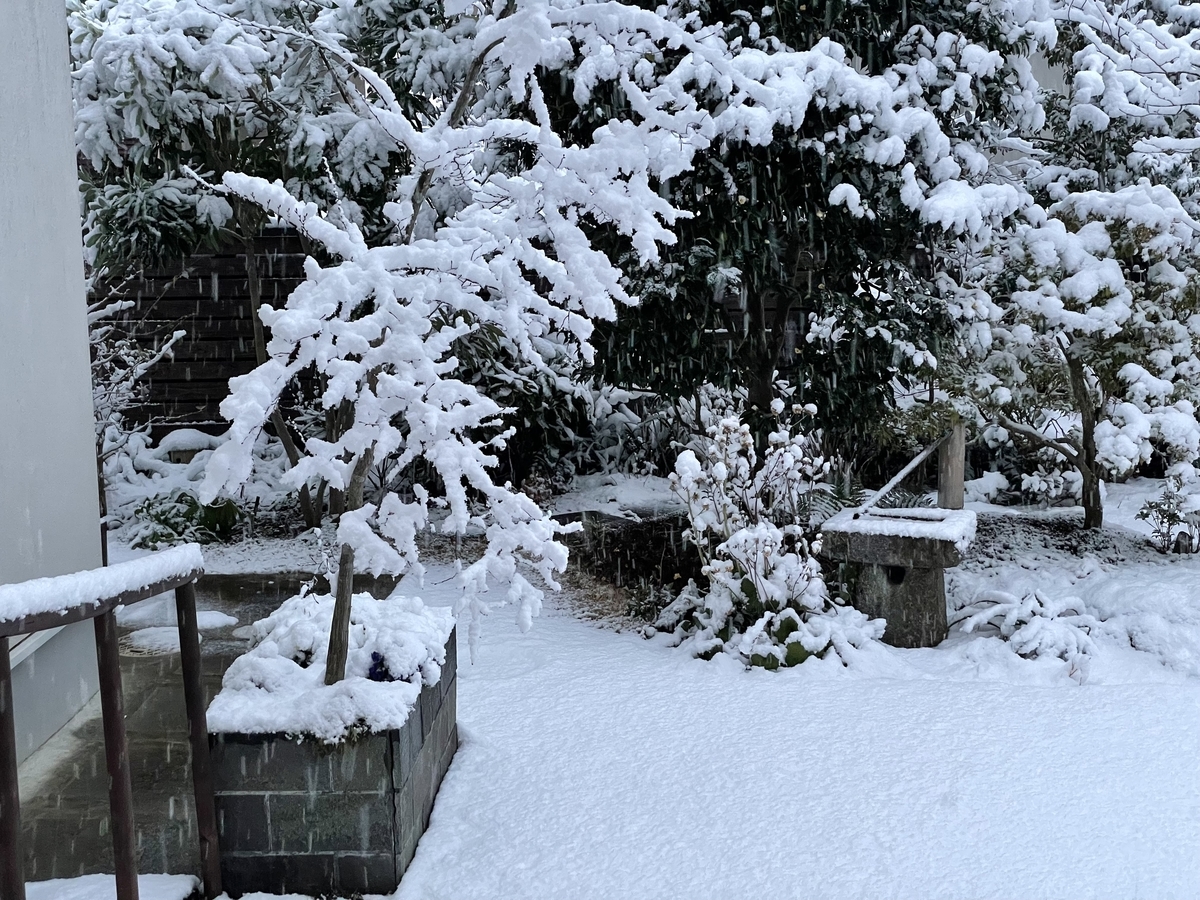 f:id:yuusuget:20220108014320j:plain