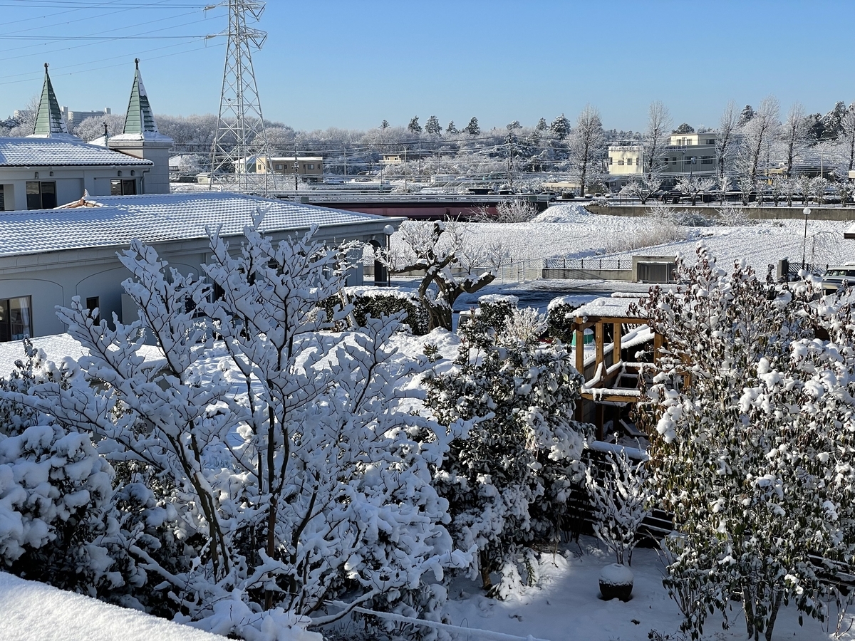 f:id:yuusuget:20220108014751j:plain