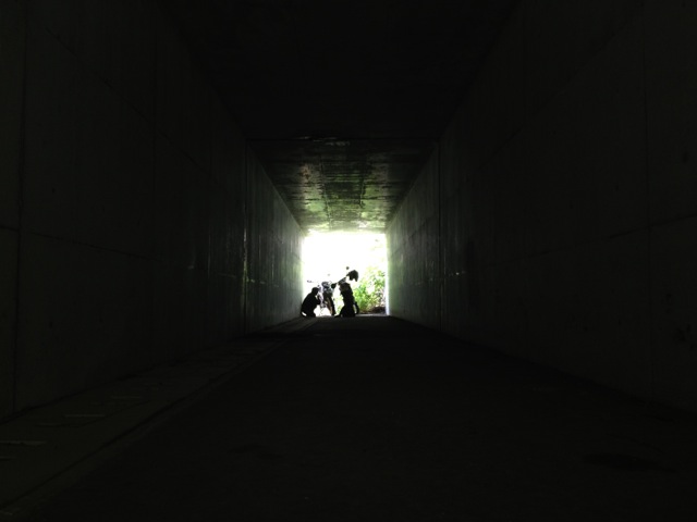 f:id:yuusuke50129:20130610213503j:image