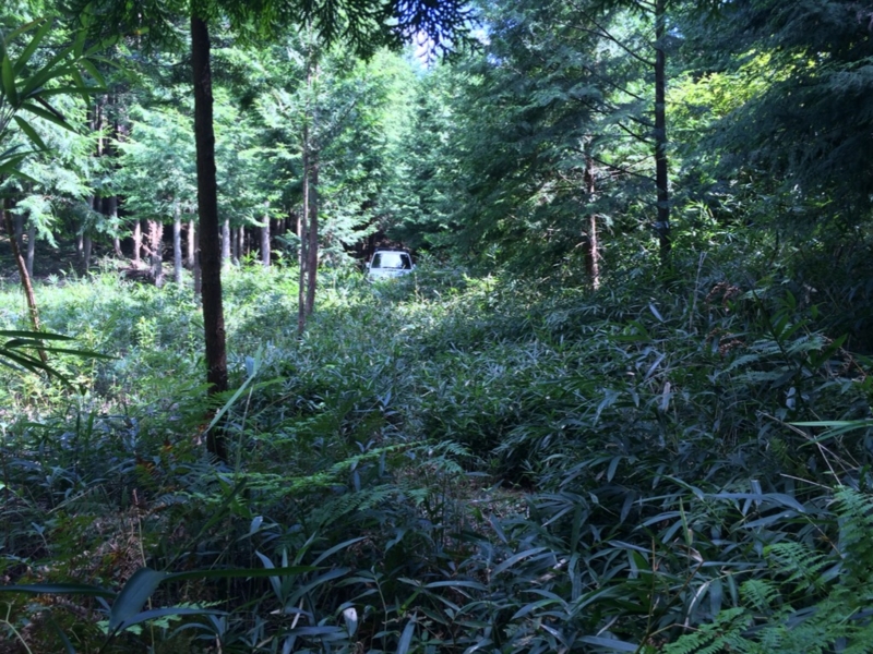 f:id:yuusuke50129:20140907210658j:image f:id:yuusuke50129:20140907210658j:image