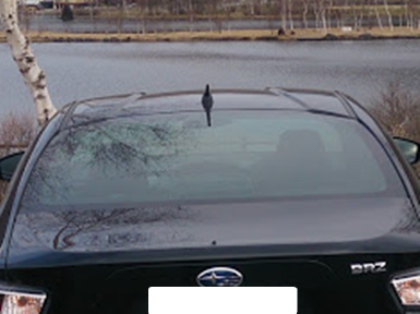 純正のリアガラス