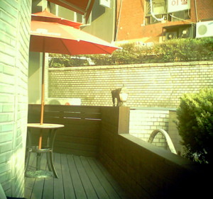 f:id:yuuuu-02:20110704192314j:image