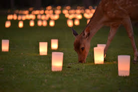 f:id:yuuuucam:20190303224409j:plain