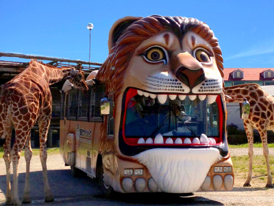 f:id:yuuuucam:20190310090222j:plain