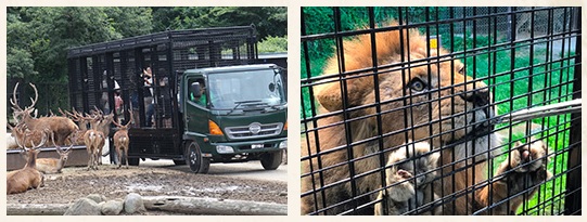 f:id:yuuuucam:20190310091341j:plain