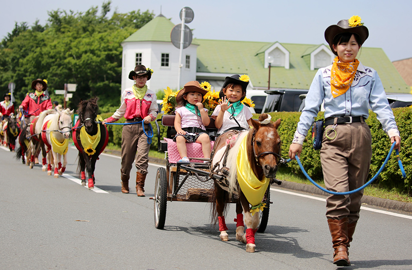 f:id:yuuuucam:20190310091705j:plain