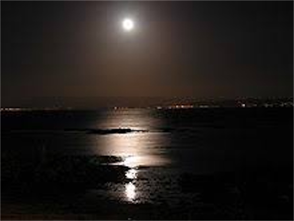 f:id:yuuuuuki9:20220426213547j:image