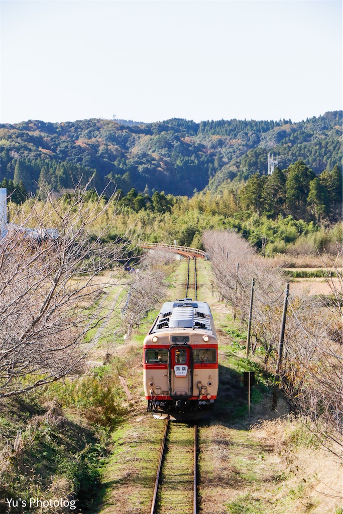 f:id:yuuyou510:20191206234320j:image f:id:yuuyou510:20191206234320j:image