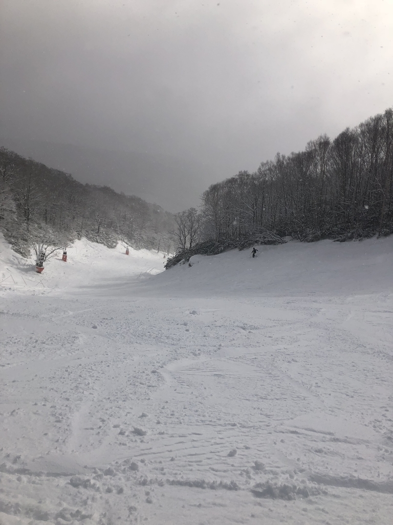 f:id:yuya-12-3:20190111213842j:plain