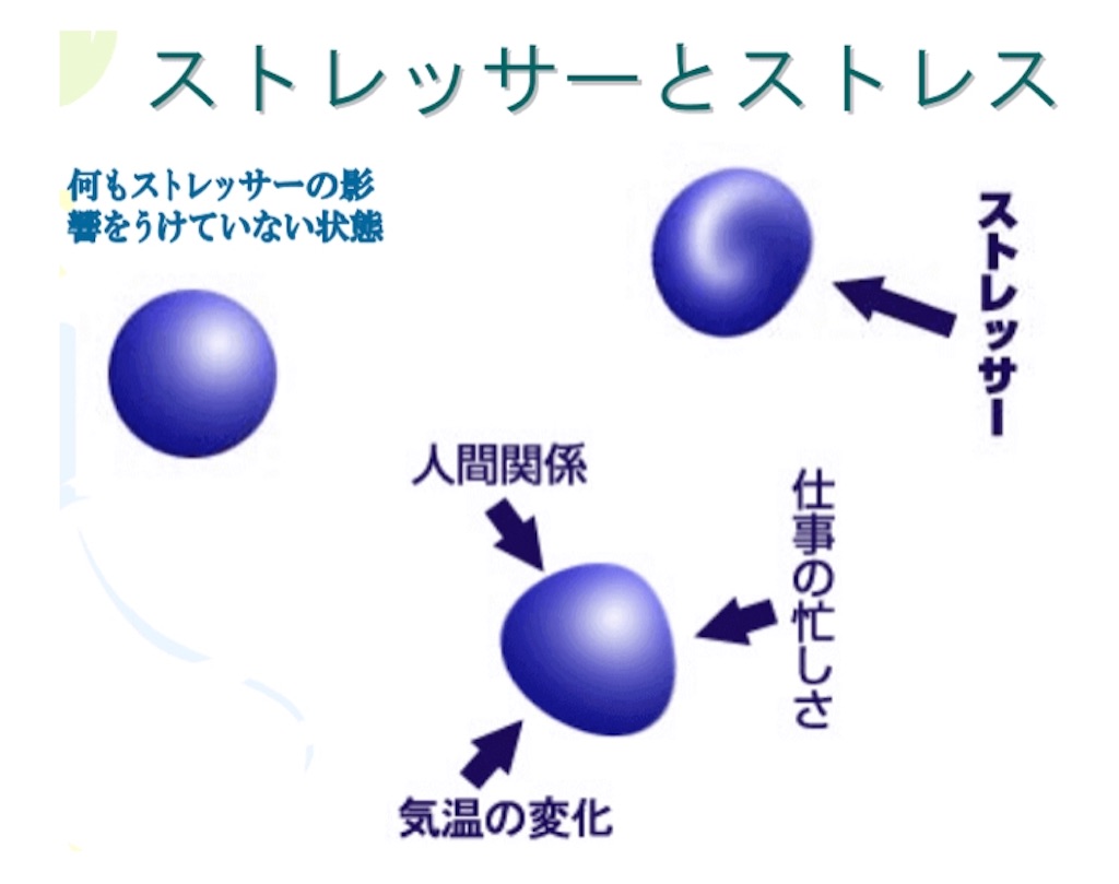f:id:yuya-12-3:20200416085141j:image f:id:yuya-12-3:20200416085141j:image