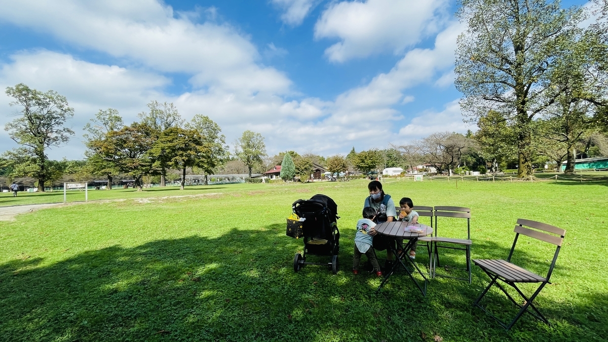 f:id:yuya226:20211012171450j:plain