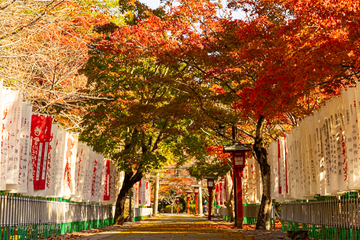長門市大寧寺の紅葉
