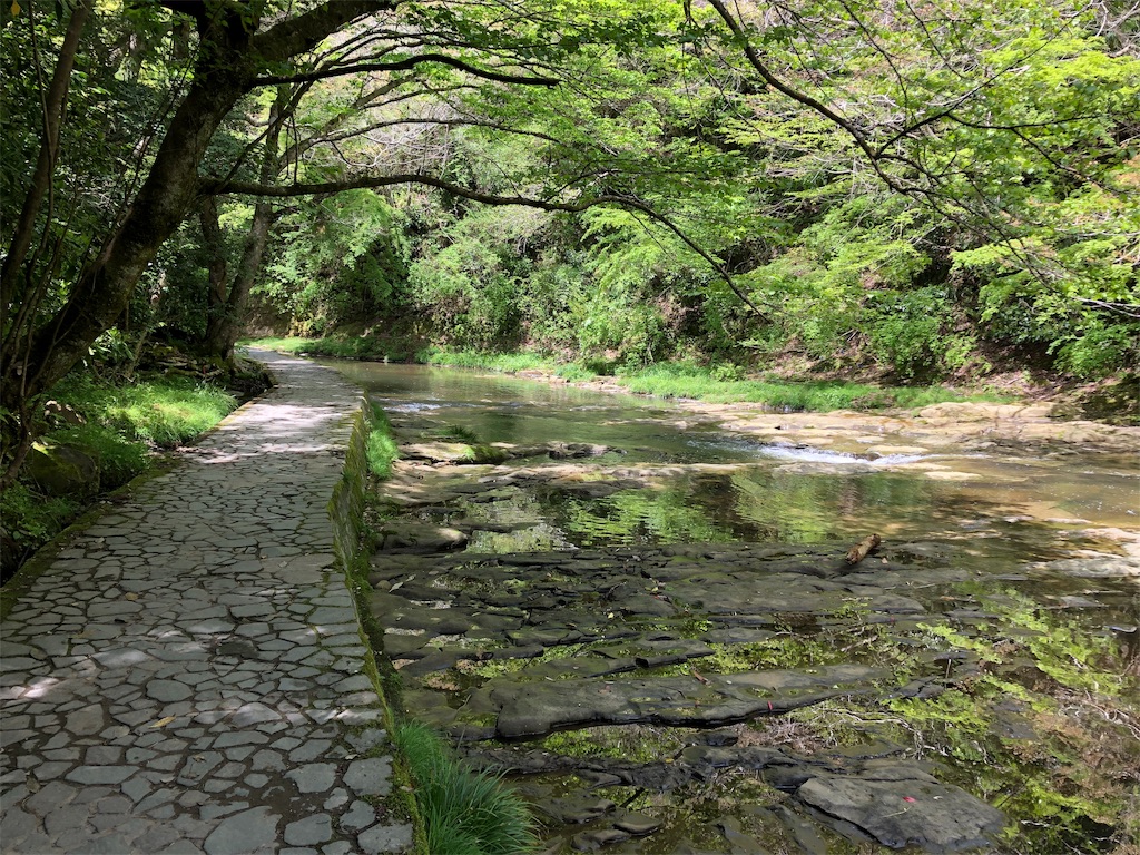 f:id:yuyanstar:20190430141725j:image f:id:yuyanstar:20190430141725j:image