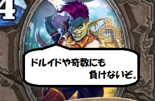 ヴドゥ祭 血祭が環境に与える影響を考えてみる ラスタカン Yuyuの目線で語る