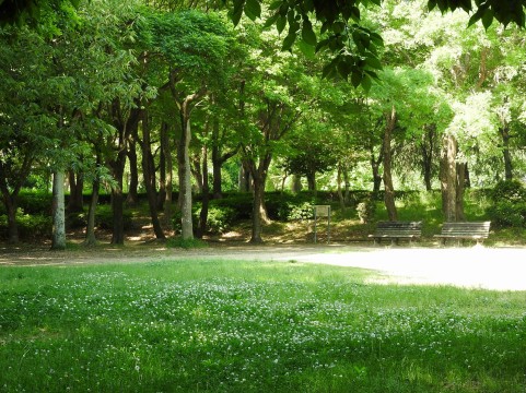 f:id:yuyu413:20170320152227j:plain f:id:yuyu413:20170320152227j:plain