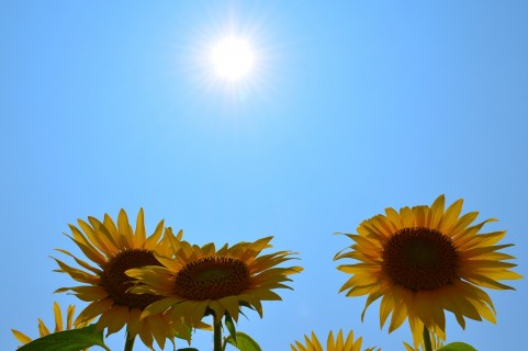 f:id:yuyu413:20200904183632j:plain f:id:yuyu413:20200904183632j:plain