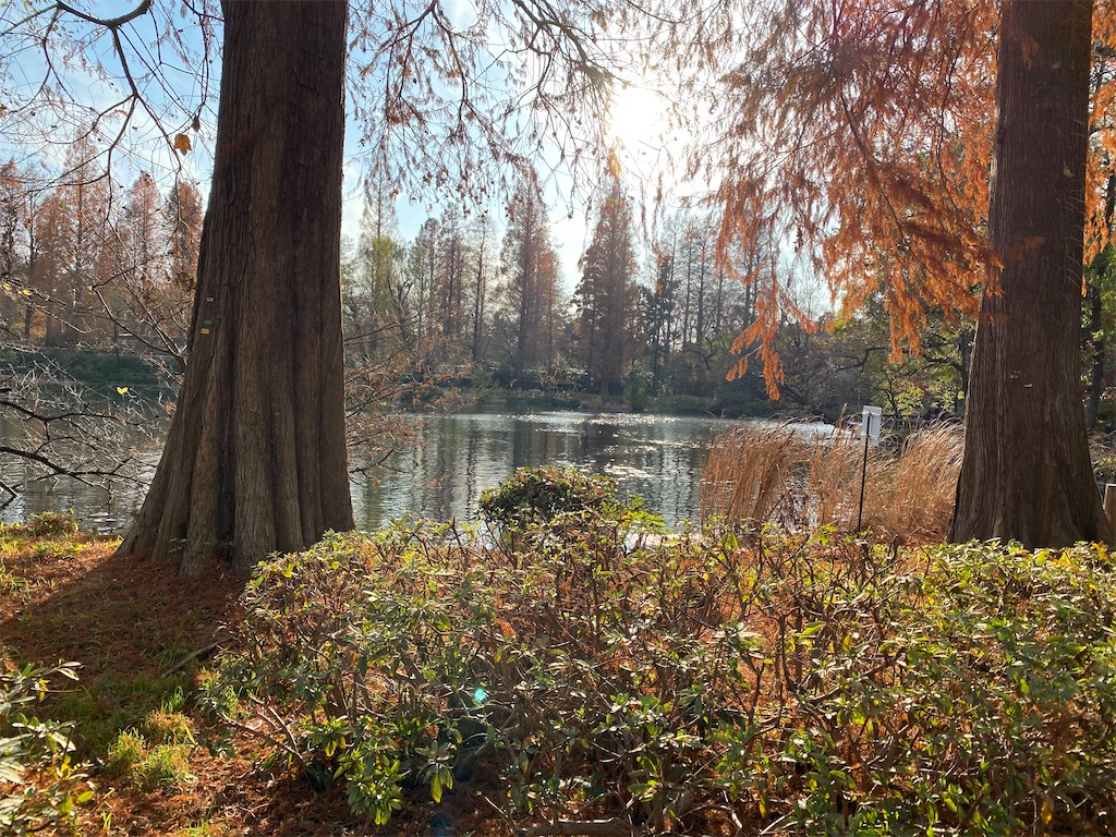 f:id:yuyubu:20191216225052j:image f:id:yuyubu:20191216225052j:image