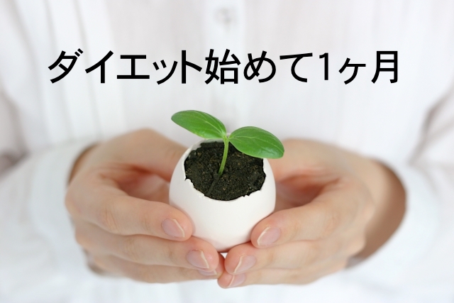 f:id:yuyukoo:20180730144726j:plain