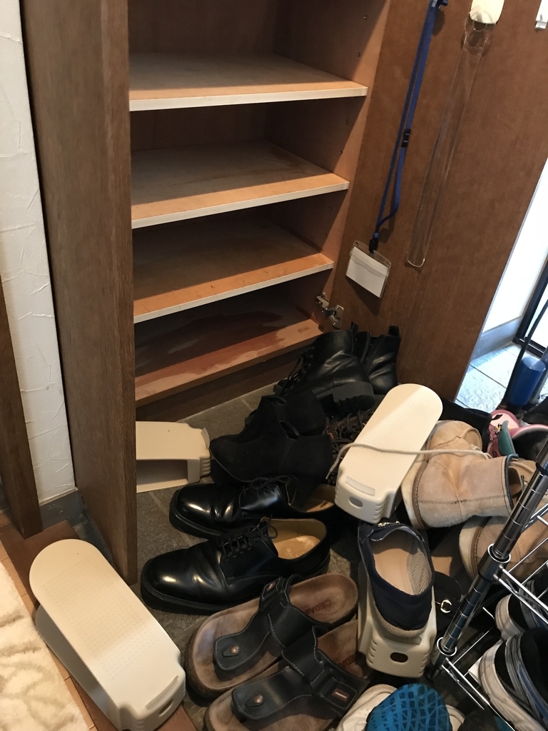 f:id:yuyukoo:20181021220852j:plain