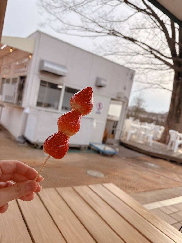 f:id:yuyuto_1:20250220171838j:image f:id:yuyuto_1:20250220171838j:image