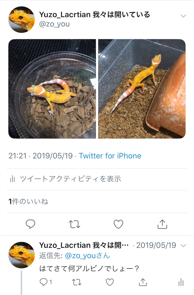 f:id:yuzo920107:20190527190942j:image f:id:yuzo920107:20190527190942j:image