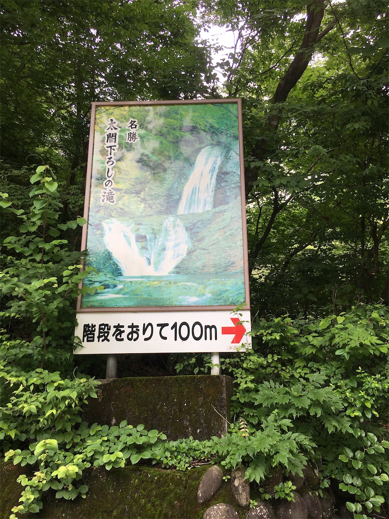 f:id:yuzu-pepper:20200628085252j:plain f:id:yuzu-pepper:20200628085252j:plain