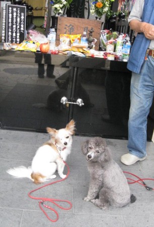 f:id:yuzuai:20090607211250j:image