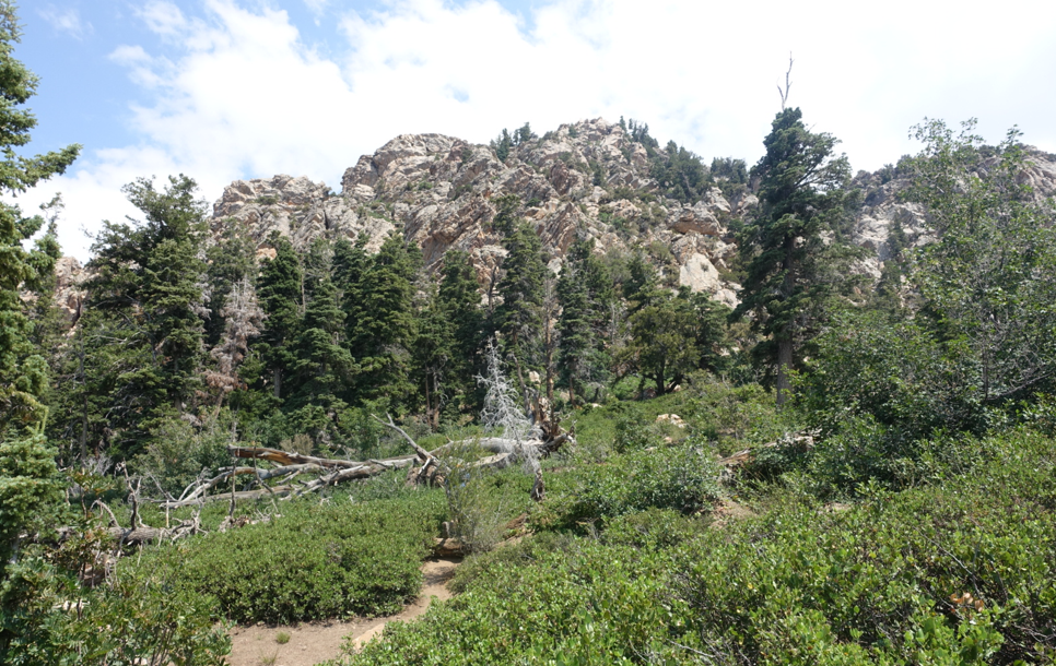 Utah Mount Olympus|yuzuchannel