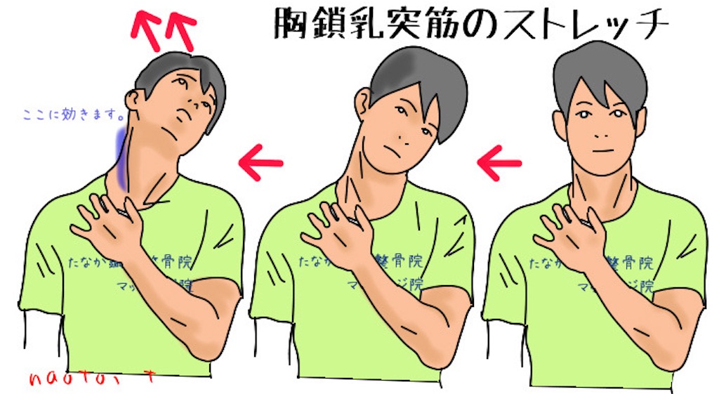 f:id:yuzudoren:20210406222724j:image f:id:yuzudoren:20210406222724j:image